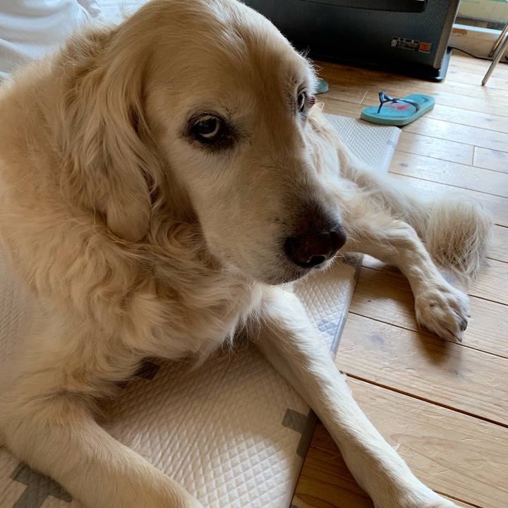 29bcb8fd 8fbb 45a2 ba5f d10e61f2260f 1552111947778