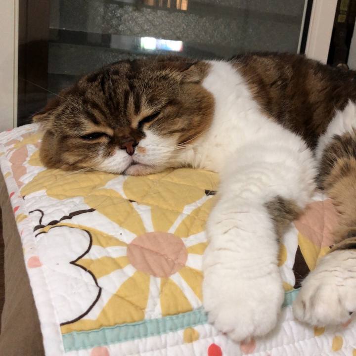 29bcf91e d462 4572 aa3d a7167342f56e 1537694955029