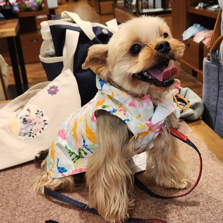 29bd474a 55e6 42c9 917e 61bb7c19d29f 1717226639287