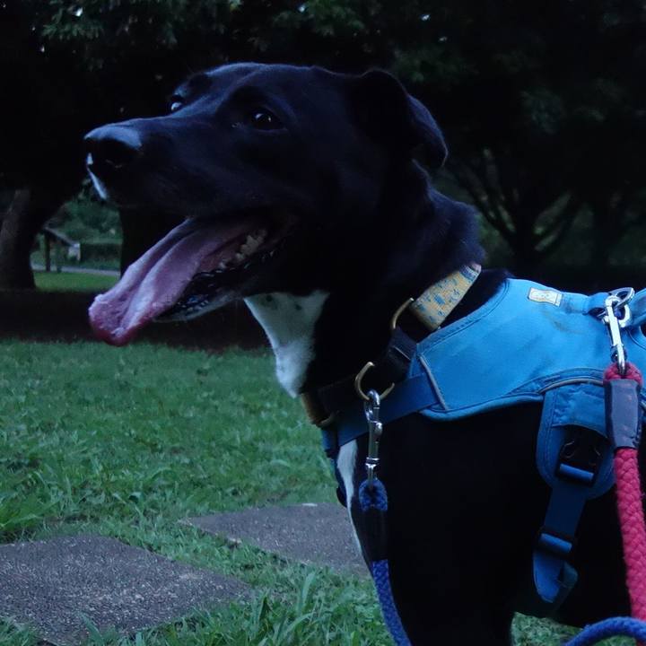 29bd62d1 8d05 467a a82d 0c14c60372ee 1625923399190