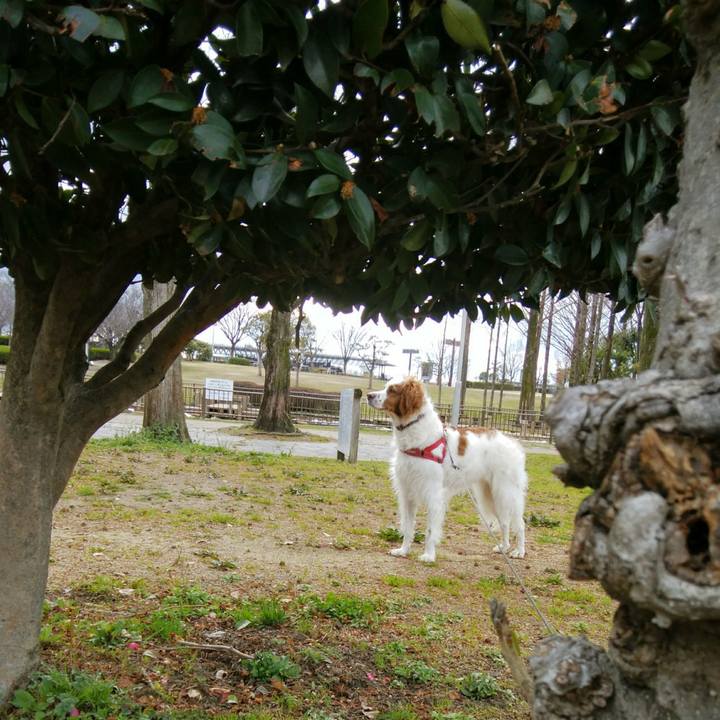 29bd8d3a 8852 40c7 94a0 a7b1a9539077 1552292958909