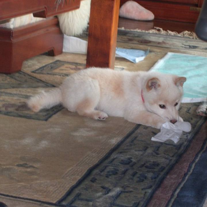 29bdabc4 f34e 4b67 9e79 b3f6037664ff 1637591407601