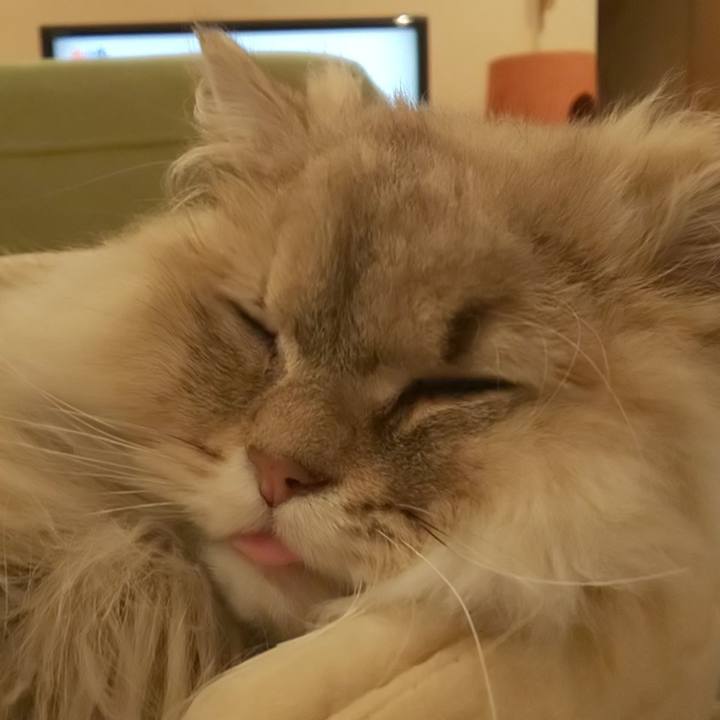 29bdb66c 1369 48d7 bd28 150eee89887c 1587114491076