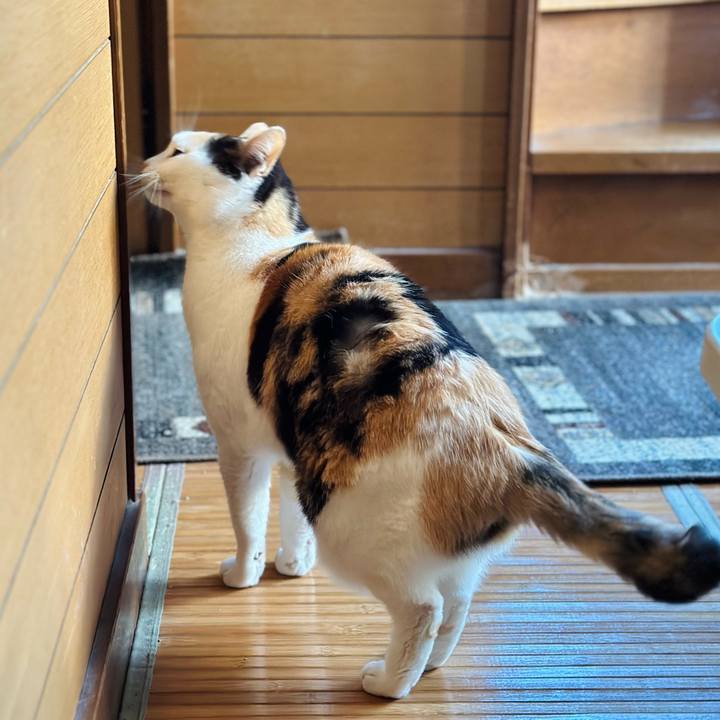 29bde26a 3e5d 4373 8f25 d5caf3b1e0b8 1675043840471