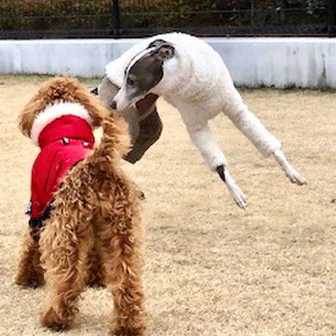 29bde319 434a 462b a2f4 3aaea6e51b7c 1546764856346