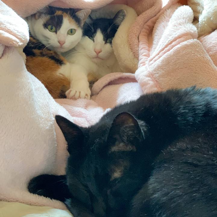 29be1c21 4df6 41a3 a83a 8c5f1e163e92 1585704906670