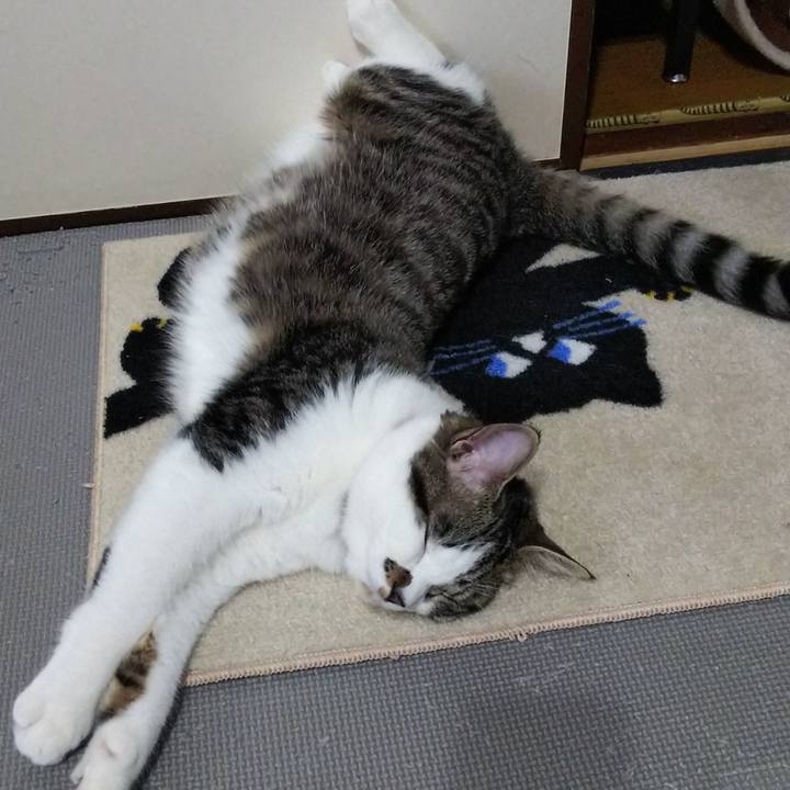 29be79d8 67d5 4551 b999 f2d3e7eebcb5 1621064349669