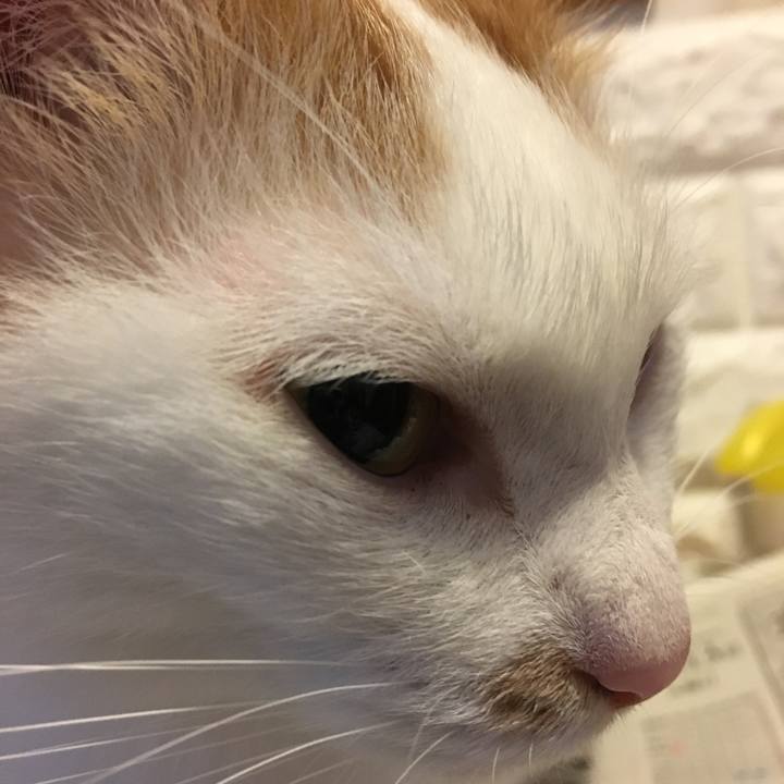 29be7bb8 59ae 46fd a31b 3a4a390234e9 1542287878296