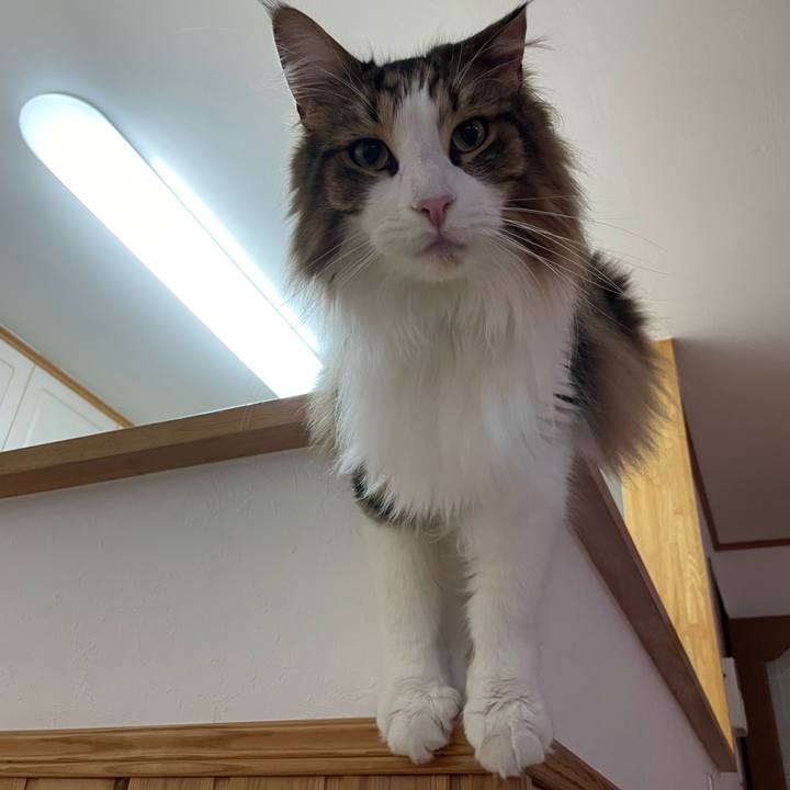 29be941c 7421 4fe4 bea1 8ca227b4670a 1685390629571