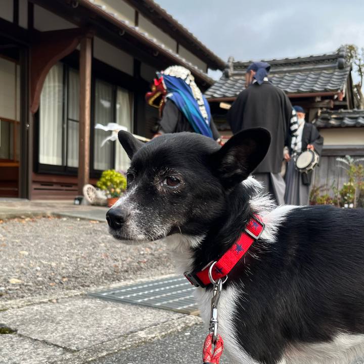 29bead55 2db5 4066 aeb8 fd327198f1fe 1668816108860