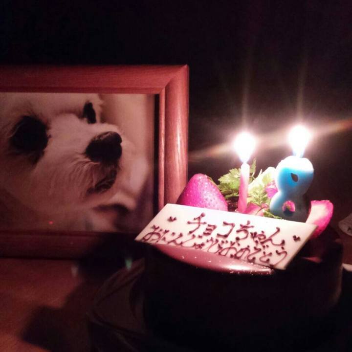 29beb2e8 aa60 4fed 8fc9 53bcd9b56605 1511571026074