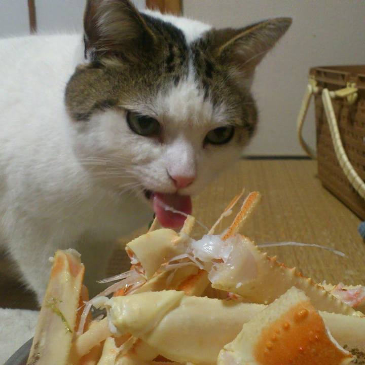 29bed420 7e51 4c47 a764 ac07e20c871a 1513120570950