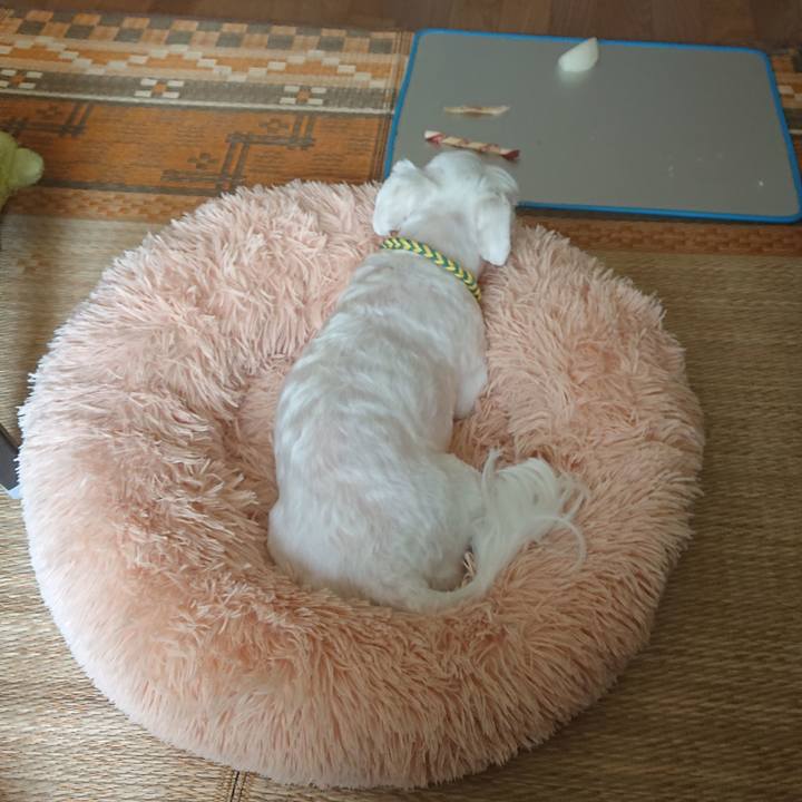 29bedc9d e5a2 47a7 9ebe 43653ea261b6 1599468045852