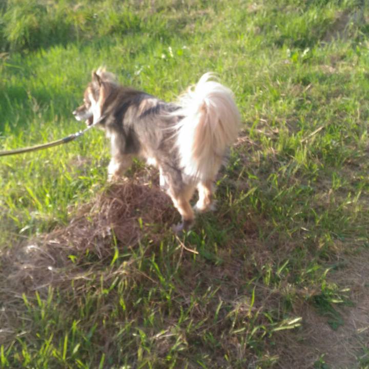 29beeb8f 0f10 43f6 8c3c 025babf3d832 1570435144341