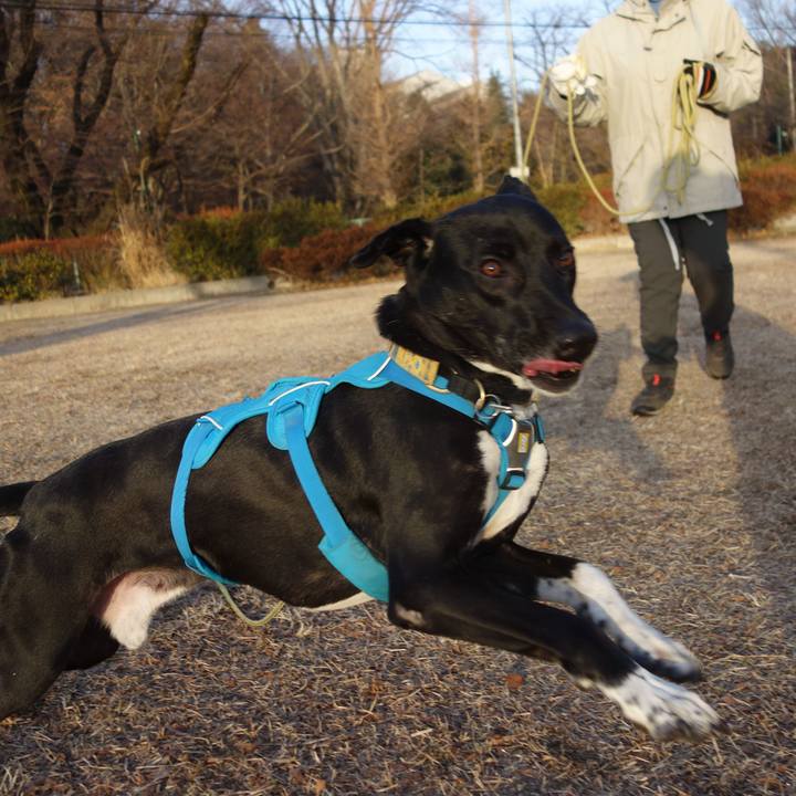 29befb64 f2ca 43a4 a81a 9ed813e60e69 1610758719849