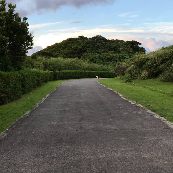 29bf0524 0504 4f38 a64a 021ae43a0194 1600086063488