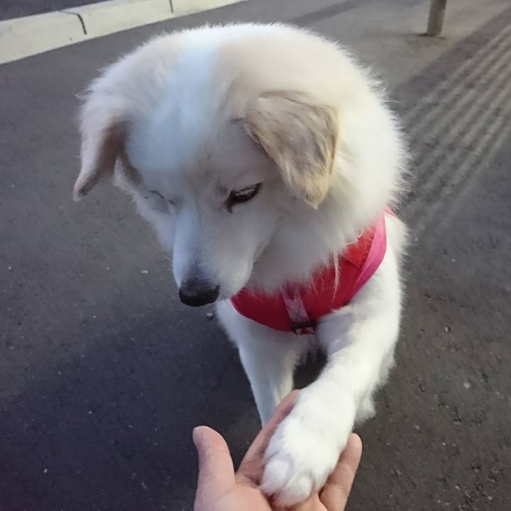 29bf10b9 8556 4b6c 928a 977b6a78b1c3 1516398449248