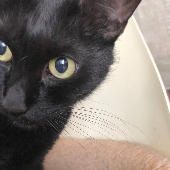 29bf198e b35a 404e b7de 9576fd9cabec 1601696505309