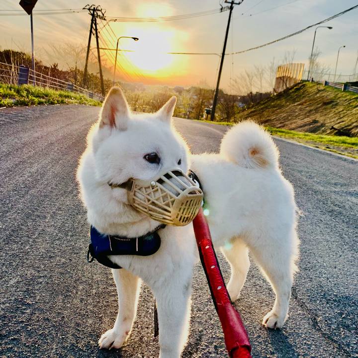 29bf254b ed53 495c 8e27 97b888ce77c7 1651179569291