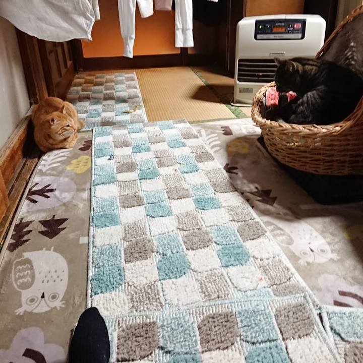 29bf273a 3ed5 44c5 b365 1599f110d887 1640340546781