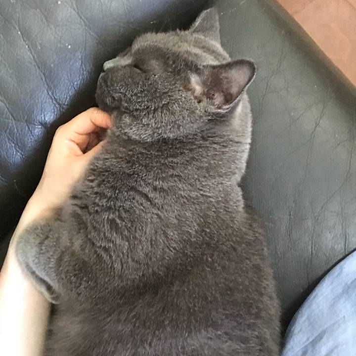 29bf2871 a23c 4e3e b943 6c99dc332af3 1534238476019