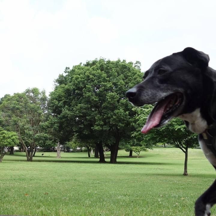 29bf3720 5c2b 4cf0 bc92 cc8ccb42c0d3 1715128901334