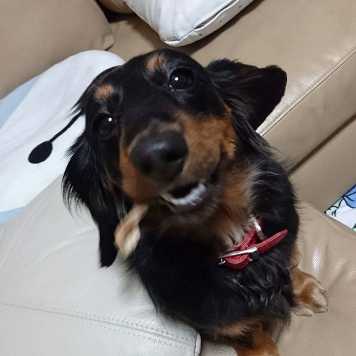 29bf4bf8 0254 46ca b81d 497e1dab370f 1514033947151