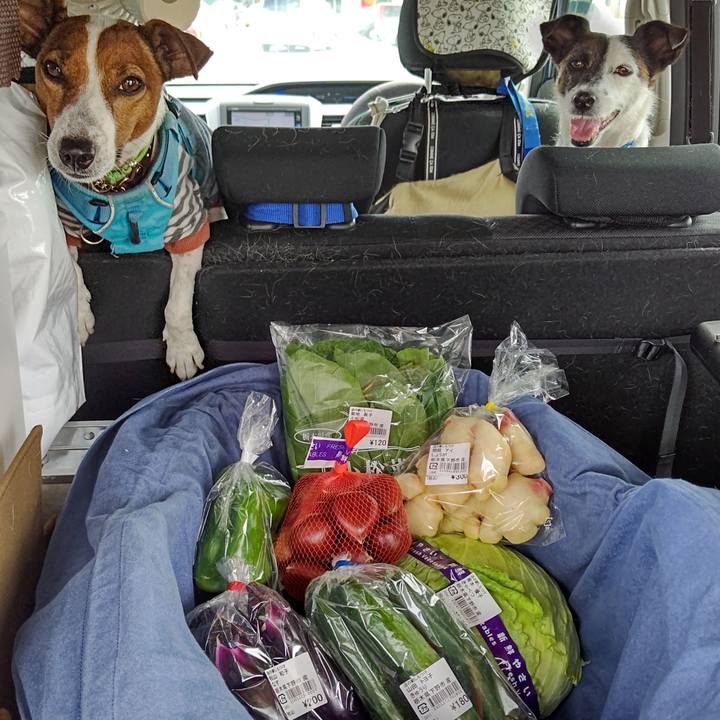 29bfb205 68d0 4c13 a2e1 fe5652e5aed0 1662773421974