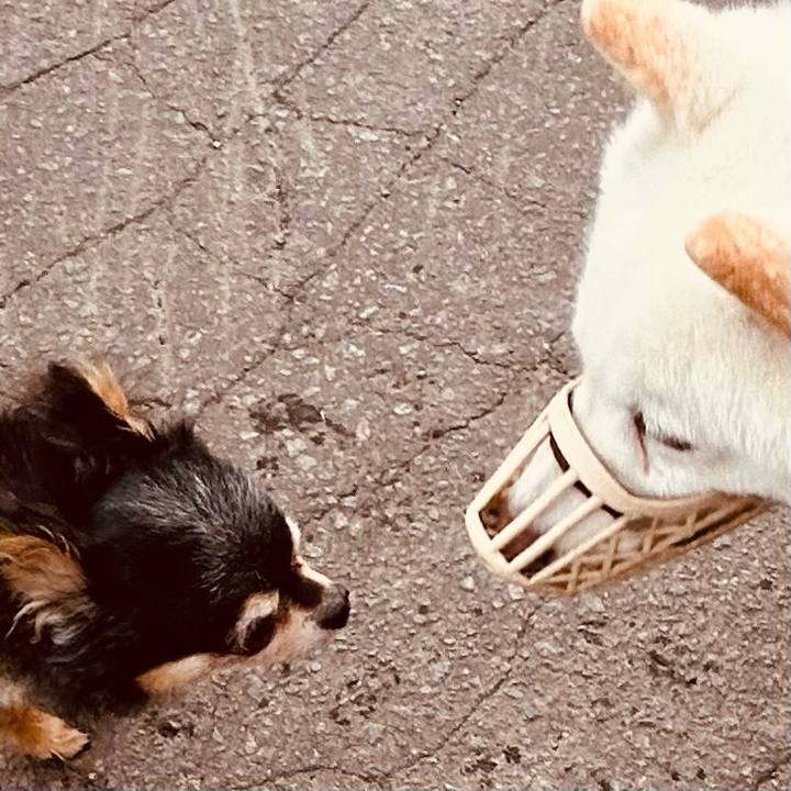 29bfb2f1 074c 4372 8d84 90c94d87fb26 1754948488658