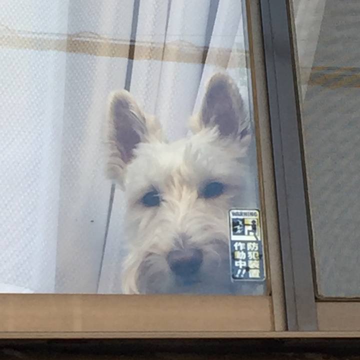 29c00f90 e7db 49d4 8be6 f26b5161cfb9 1543139134686