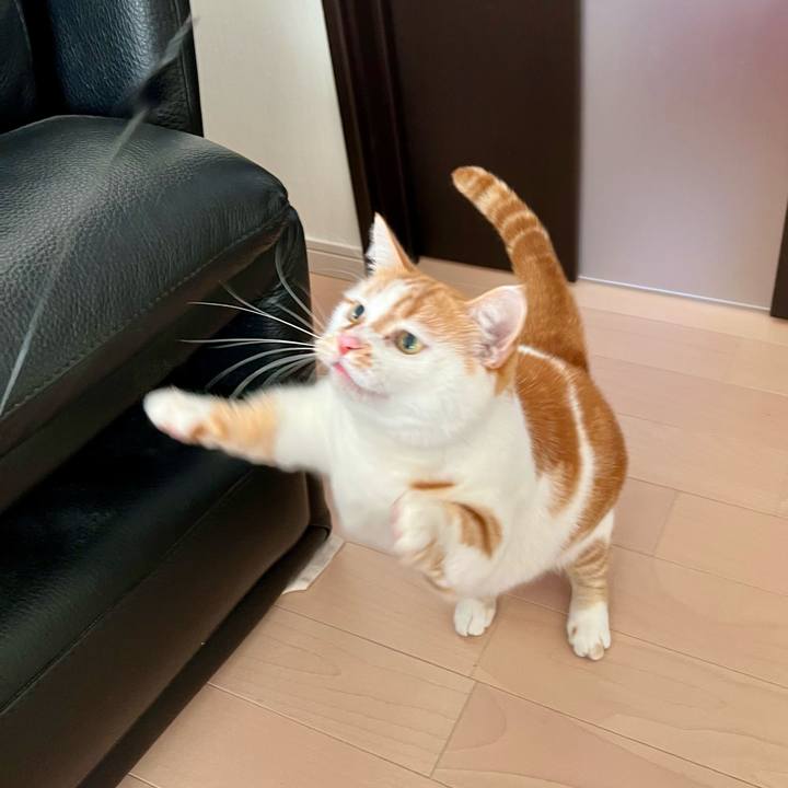 29c01b01 5243 45ba 980b 94b25fa15e4c 1767069507740