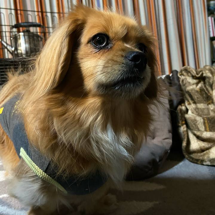 29c02eb4 2afd 4fc7 a02c 19e387834d37 1580765424931