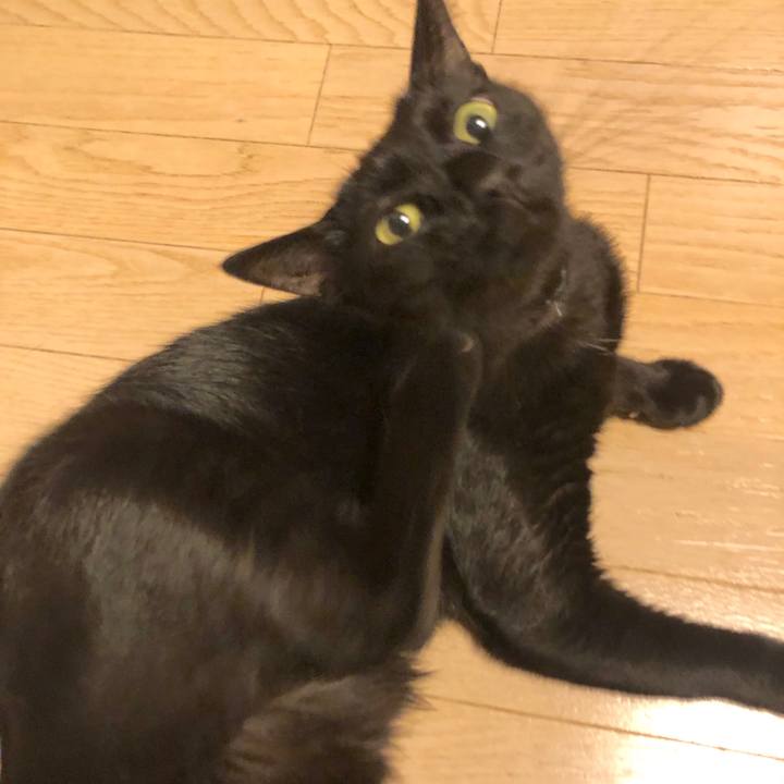 29c04ff3 2b79 447f b571 67b77c4a08c8 1568553729462