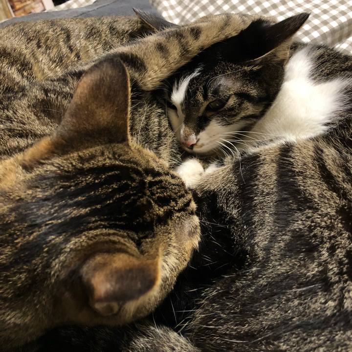 29c06246 83af 4caa a699 d42aa8cb5d09 1520659622149