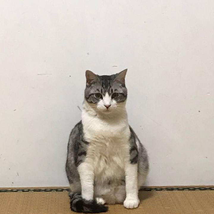 29c0a40e e3f1 4819 935b 549ed8c353f3 1527828714148