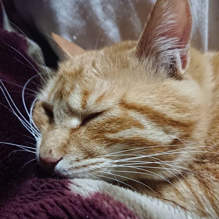 29c0e375 42dd 4699 ba7b cbafc933d07b 1647434972169