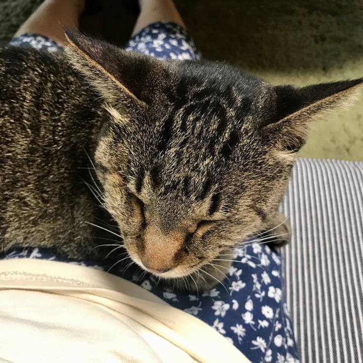 29c10c23 80c0 46ed 8944 a5ace60faf74 1595660873744