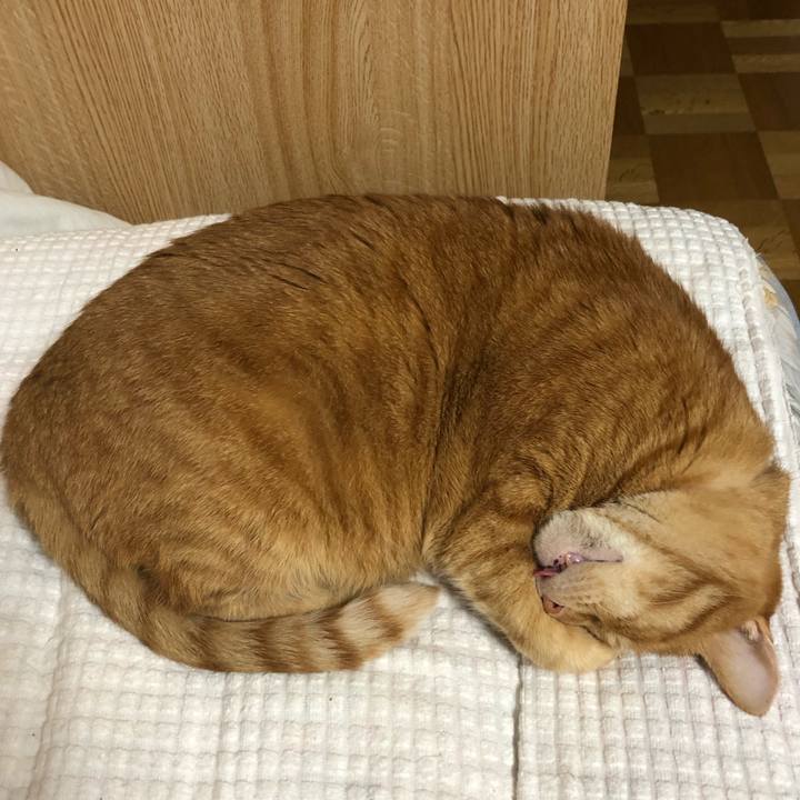 29c1203e 018e 4ee8 908f 8df3c9dbcfba 1591441155795