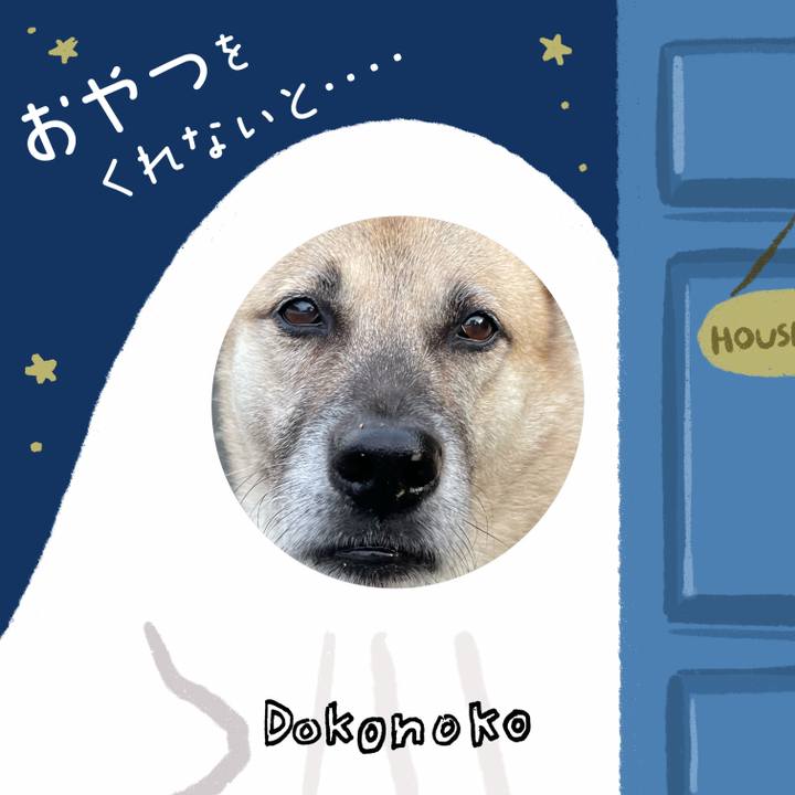 29c122c1 ee22 449c a266 84d21f5648ea 1729252790104