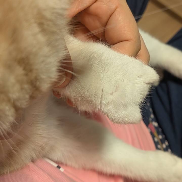 29c127ef 7313 47d6 83e2 841c0c7a7712 1759911460912