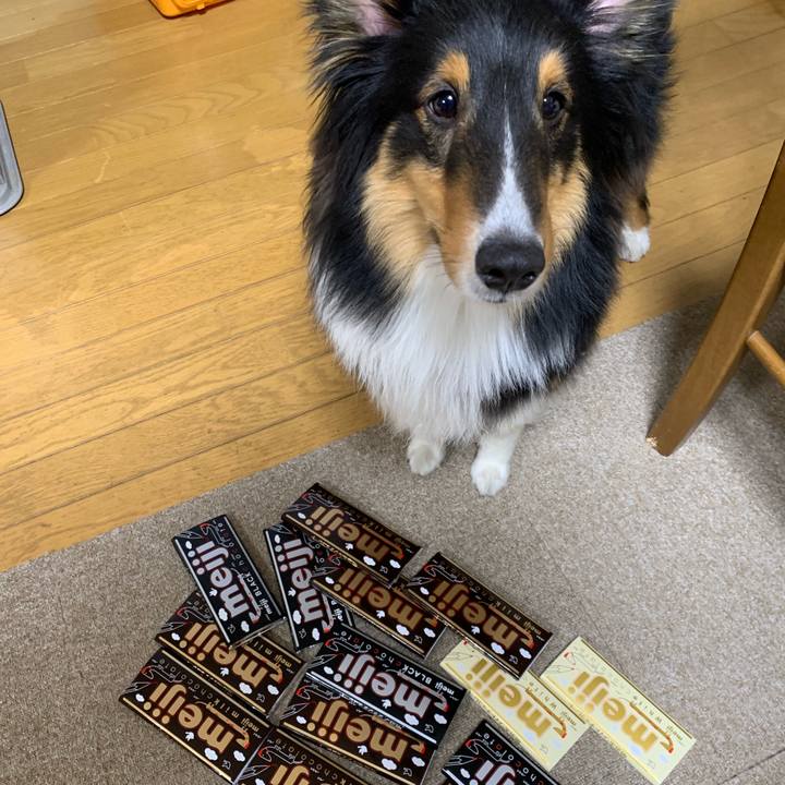 29c129d2 e846 4c45 bc9e 40cde9700b1e 1550094429125