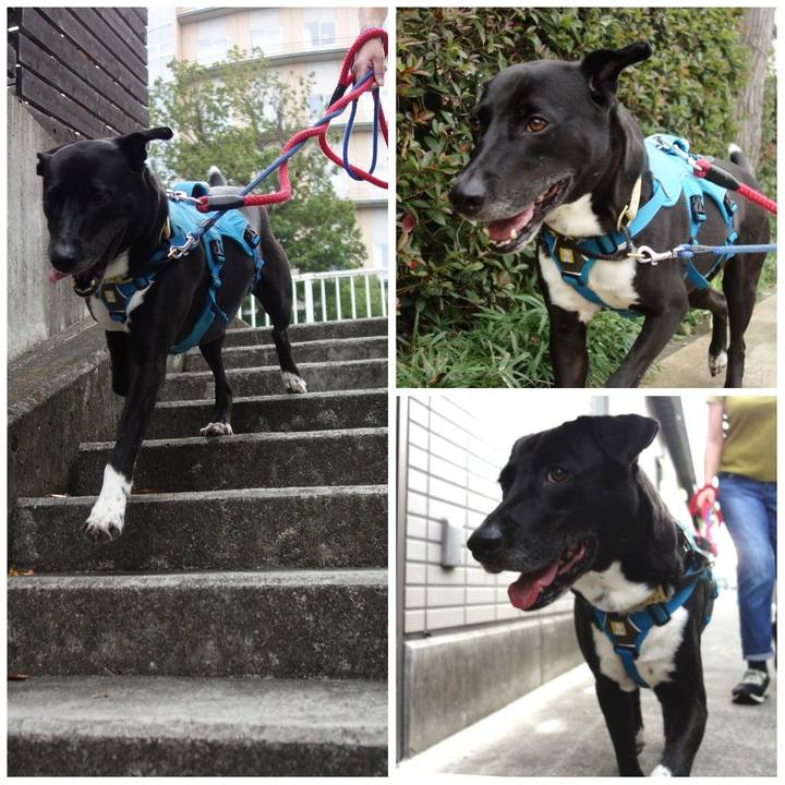 29c1650f a4d3 4d5f 98ed a313b0435e99 1632961626500