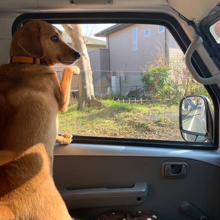 29c170a5 585a 40e8 9b63 7b73f7393770 1578723318075