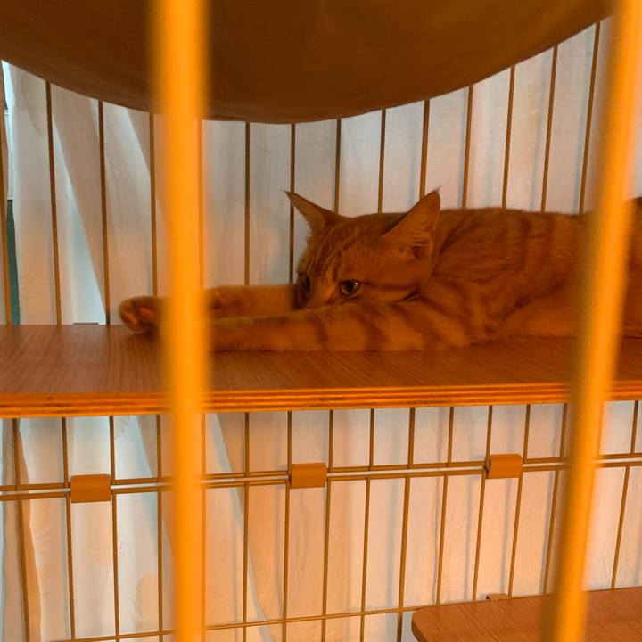 29c18187 8b80 44da ad04 926ed0ed6a19 1689330221308