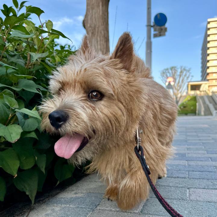 29c18eea a95a 4699 9dfb e8c63c76cae1 1750487179141