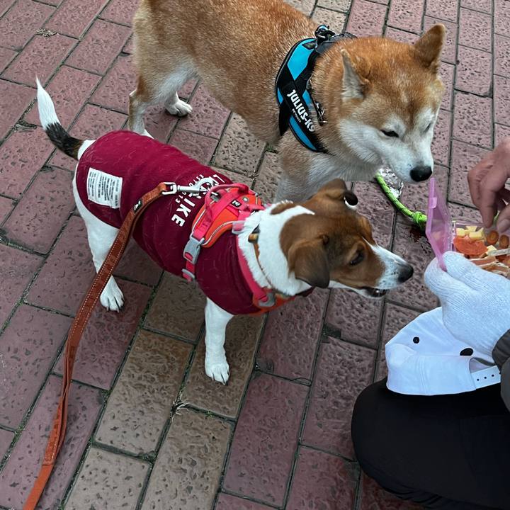 29c19184 ce3d 4399 af74 f365f3f825d8 1735471241123