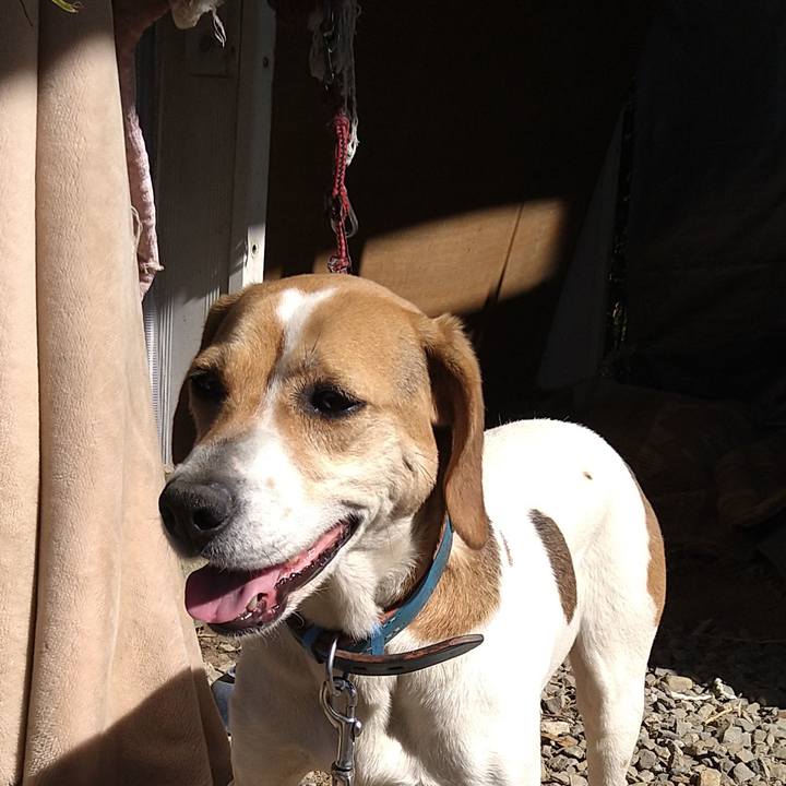 29c1b05c 5bf7 4a51 ad3b 49b5bf998178 1617947393249