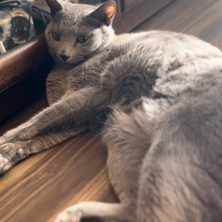 29c1b075 c0bb 4ba8 a300 dd1e785b48f1 1740361235689