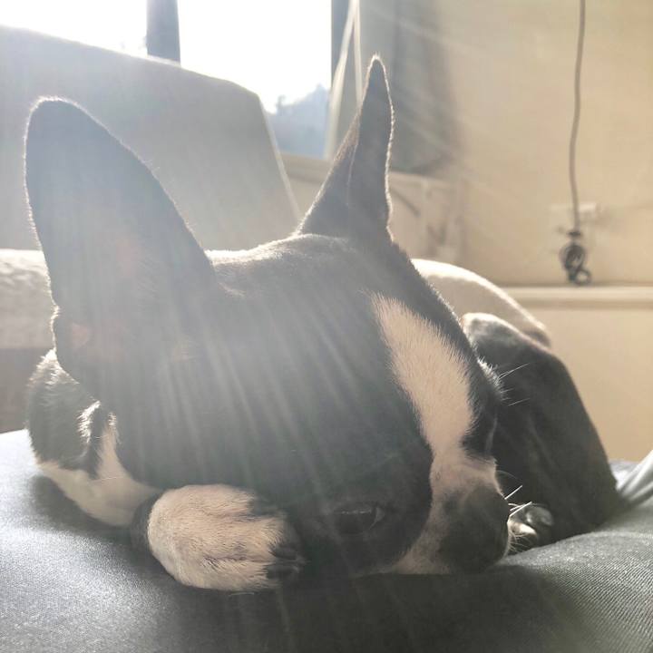 29c1b3b0 623e 4f9d 8b88 48bd3f70842d 1552004373419