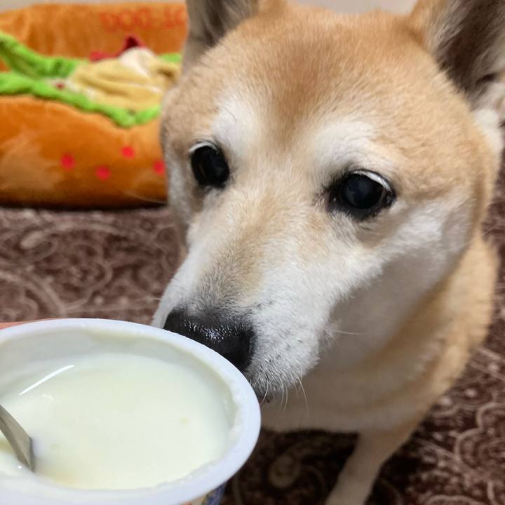 29c1d5d8 c713 48cb a343 bbd6b5373fa6 1615881621134